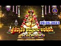 Sri Padmavathi Ammavari Abhishekam Tiruchanoor 09 06 2023 SVBC TTD