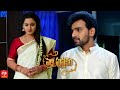 Pelli Pusthakam Serial Promo - 28th March 2024 - Mon to Sat at 1:30 PM in #EtvTelugu - Mallemalatv