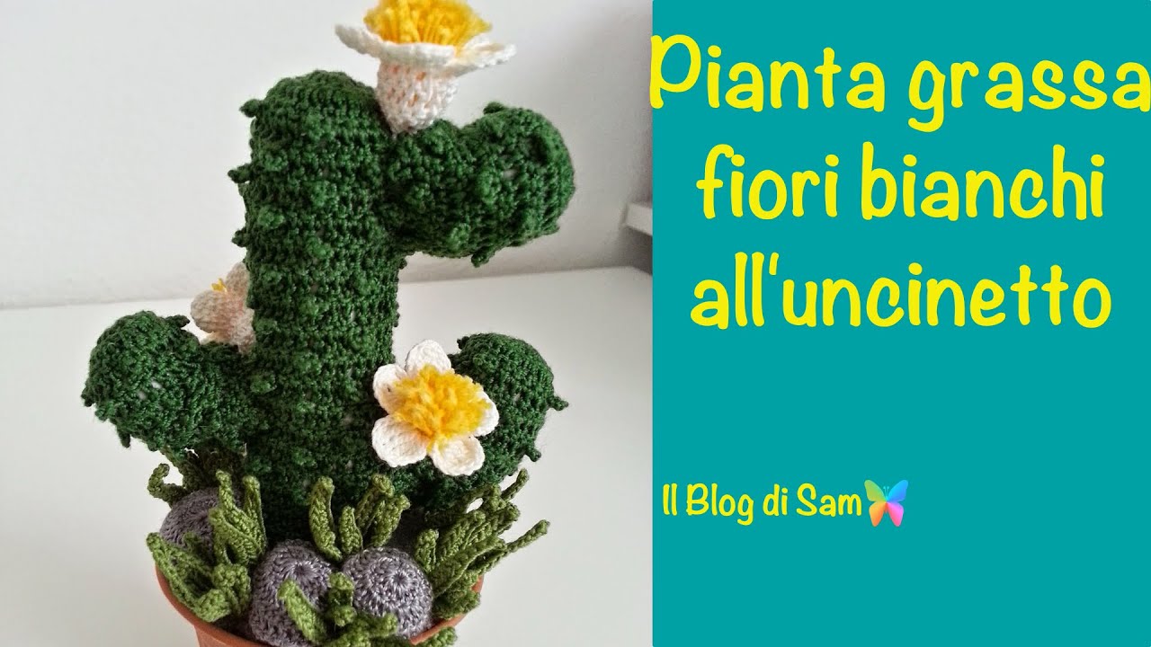 Spiegazione della pianta grassa all'uncinetto con i Fiori bianchi