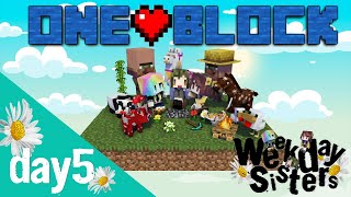 【ONE BLOCK】1マススカイブロック～のどかの次って何がくるの？！DAY5【WDS】
