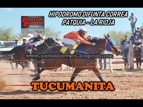 Tucumanita, Patquia (04-11-18)