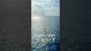 “An Angel’s View: Gliding Over the Seas on MSC! #cruise #travel