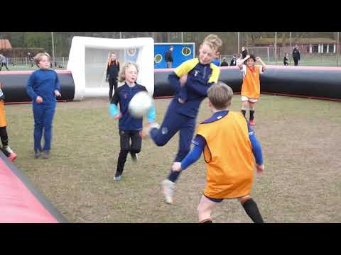 vv IJmuiden voetbalstad