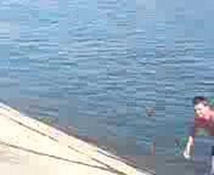 Prabuseala Sabolciu 4