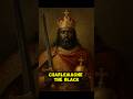 Charlemagne- The Black Holy Roman Emperor — #africanhistory #blackhistory #blackhistorymonth