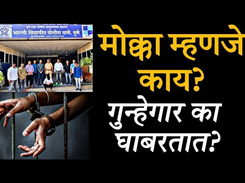 मोक्का म्हणजे काय | What is MOCCA Act In Maharashtra For Criminals Pune Crime Real Prime Videos 
