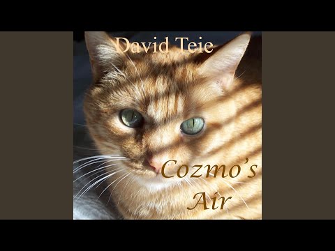 Cozmo's Air
