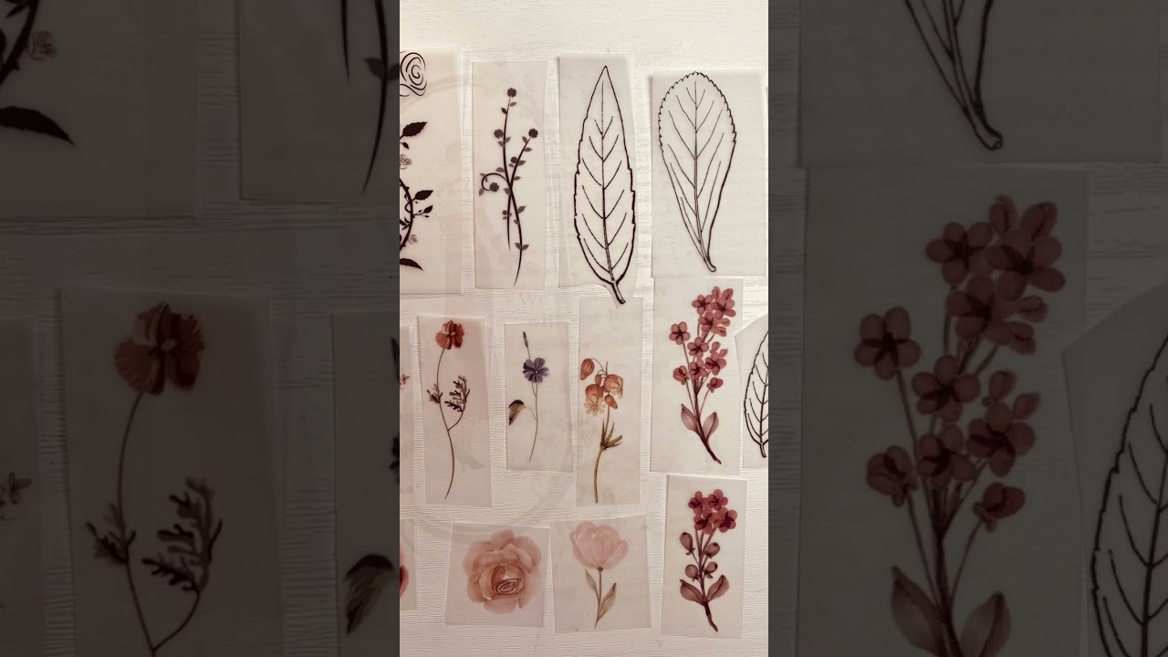 Sold out! New Release 192 PCs Translucent Vintage Ephemera Pack Limited Quantity TGP