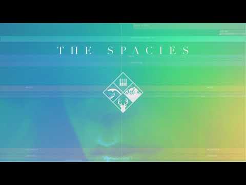 The Spacies - Catch My Breath