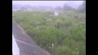 山田映像監視局