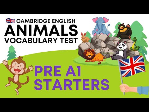 Pre A1 Fun for Starters - Animal vocabulary Cambridge English YLE Exams
