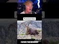 How Animals Became Extinct