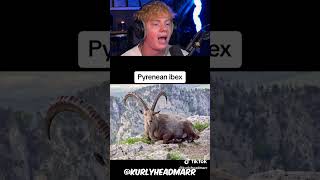 How Animals Became Extinct! 😨