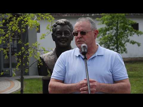 Novobečejske vesti