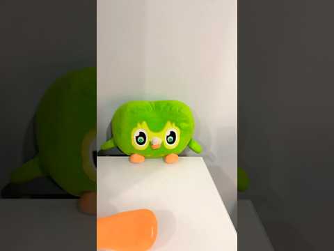 Duo Owl Funny IRL Chaos 😳 Caught Off Guard in Real Life