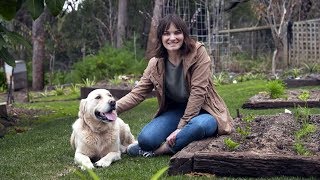 The Garden Gurus - Tips on a creating a dog friend