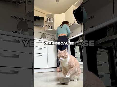 If You D*e Your Cat Does THIS 😨