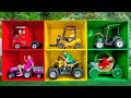 Five Kids Challenge To Find Colorful Cars With Baby Alex And Other