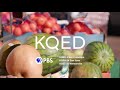 KQED ID 2020 7