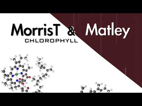 Morris T & Matley - Chlorophyll (Official Audio)