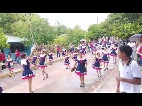 La mucura- Banda Cívica Roque de Alba por las calles del Molino, La Guajira #bandatradicional