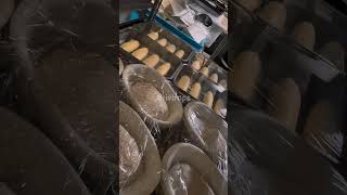 Download lagu 15 October 2025 mp3