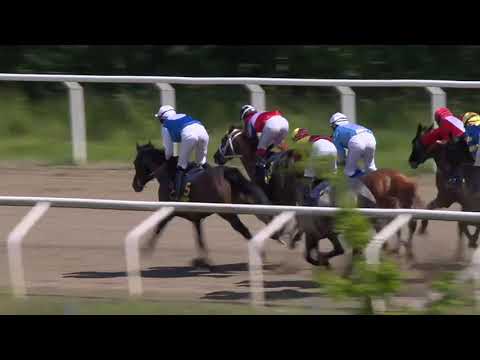 2020.06.07 Svenskt Derby Trial (SWE) - Marieappel