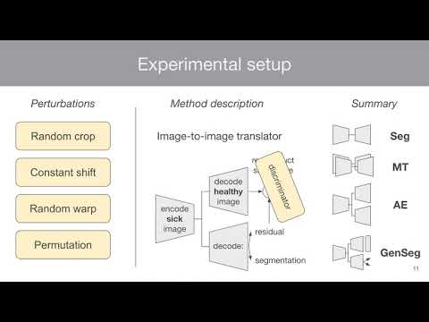 Label noise in segmentation networks : mitigation must deal with bias
