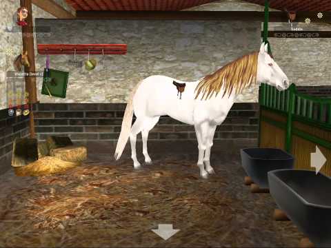 Clever Kids : Pony World Wii