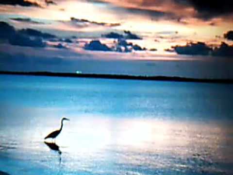Gulf of Mexico oil spill Save The Sea song By  HowitGoes