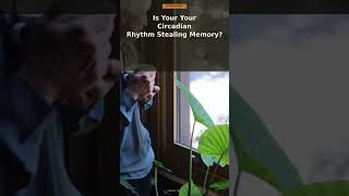 Is Your Circadian Rhythm Stealing Your Memory? #Shorts