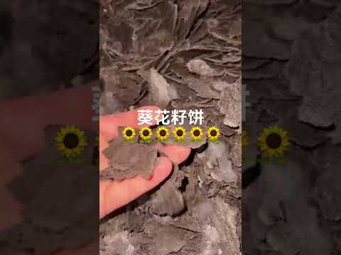 哈萨克斯坦优质葵花籽饼 | 高蛋白饲料 哈萨克斯坦厂家直供 | 质量稳定 | 阿拉山口交货