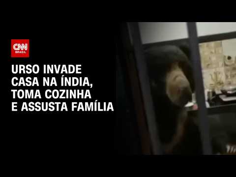 Veja momento que urso invade casa na Índia | CNN BRASIL