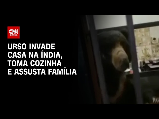 Veja momento que urso invade casa na Índia | CNN BRASIL