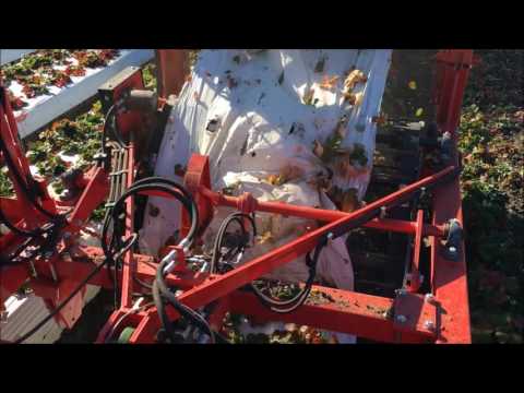 Plastic Mulch Lifter - Rocca Strawberries Plastic Mulch Retrieval