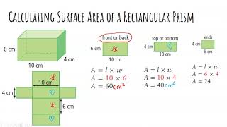 Lesson #4   SA of Rectangular Prism