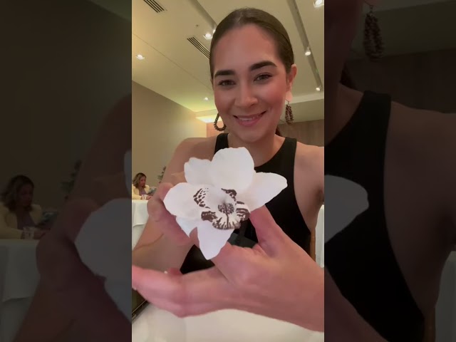 Vídeo relacionado con Elizabeth Arden - White Tea Skin Solutions Moisture Infusing Bi-Phase Toning Lotion, Tónico Hidratante Bifásico sin Alcohol, Equilibra y Acondiciona la Piel, Protección Antioxidante - 200ml