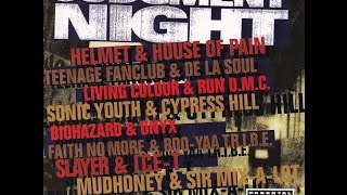 HELMET/HOUSE OF PAIN - Just Another Victim