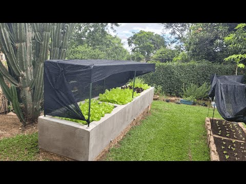 Podcast Nossa Horta | Piloto #01 – O espírito da coisa