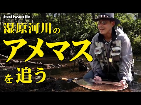 【ネイティブトラウト】湿原河川のアメマスを追う【北海道・道東】