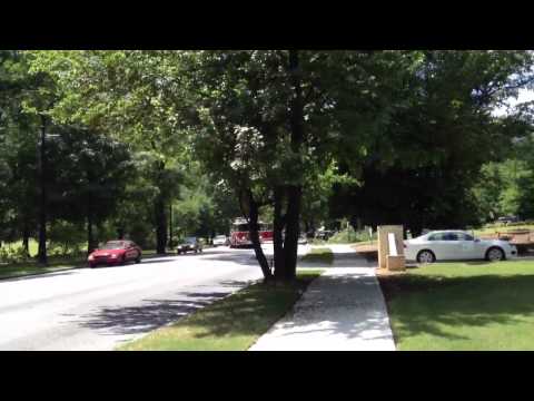 I Rode Through a Tree..