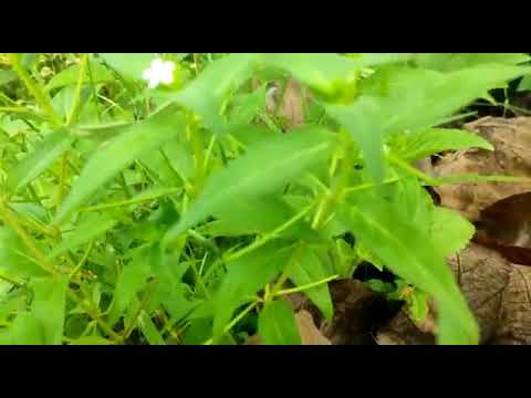 my friend photography