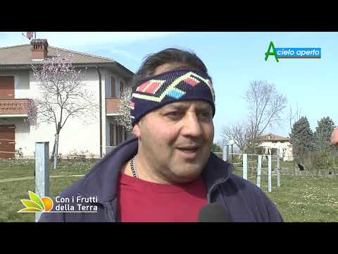 Puntata del 10/3/19 – 3° tranche - Reggiane rosse e primavera anticipata