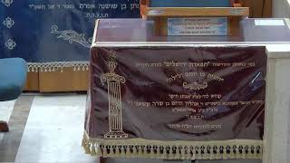 בית הכנסת יזדים • יום ראשון כה' חשוון תשפ'ו (בית הכנסת מוסאיוף) - התמונה מוצגת ישירות מתוך אתר האינטרנט יוטיוב. זכויות היוצרים בתמונה שייכות ליוצרה. קישור קרדיט למקור התוכן נמצא בתוך דף הסרטון