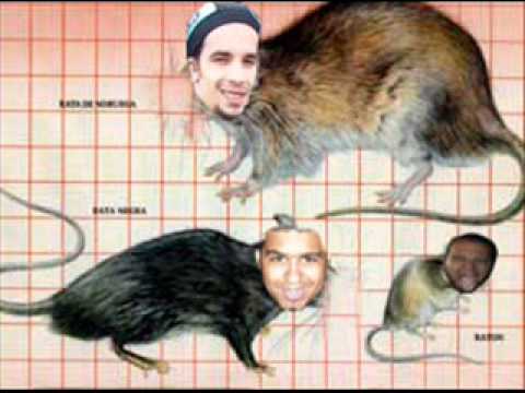 Seeksciatick - Matarrata (OFFICIAL VIDEO) 2012