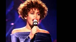 Whitney Houston-Love Is A Contact Sport