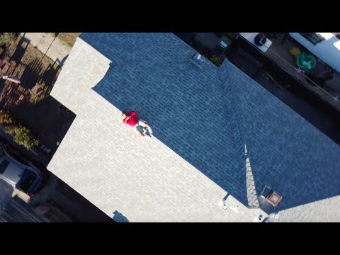 Avynuu - Laces (Official Music Video)