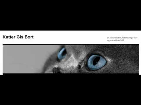 Sterilisering av Katt - KatterGisBort.no