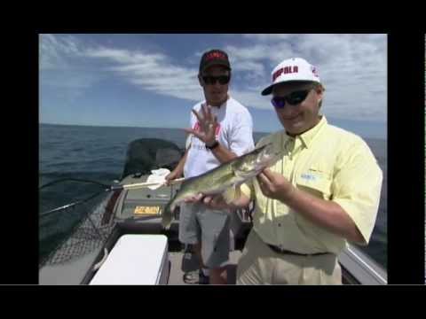 Rapala Shad Rap RS 7cm 9g SD