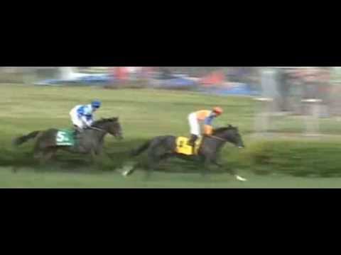 American Turf Stakes 2013_Noble Tune_Javier Castellano